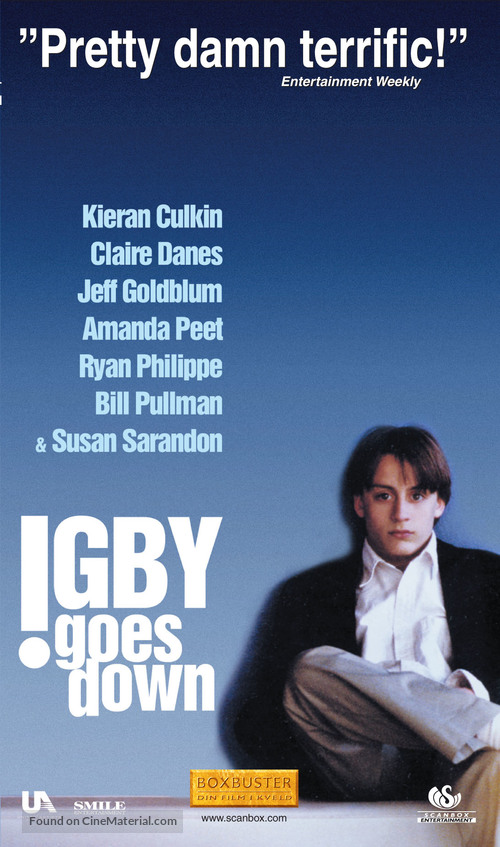 Igby Goes Down 2002 Danish Movie Poster