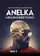 Anelka: Misunderstood poster thumbnail