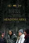 Meadowlarks poster thumbnail