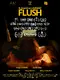 Flush poster thumbnail