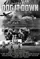 Dog It Down poster thumbnail