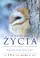 Z Nurtem Zycia: Flow of Life poster thumbnail