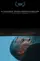All that Passes By Through a Window That Doesn't Open poster thumbnail
