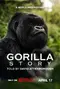 A Gorilla Story: Told by David Attenborough poster thumbnail