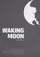 Waking Moon poster thumbnail