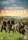 The Windermere Children poster thumbnail