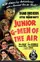 Junior G-Men of the Air poster thumbnail