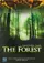 The Forest poster thumbnail