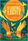 Risking Light poster thumbnail