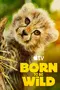 "Born to be Wild" poster thumbnail