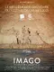 Imago poster thumbnail