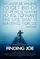 Finding Joe poster thumbnail