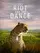 The Riot and the Dance poster thumbnail