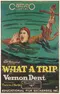 What a Trip poster thumbnail