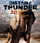 Distant Thunder poster thumbnail