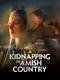 A Kidnapping in Amish Country poster thumbnail