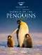 Secrets of the Penguins poster thumbnail