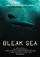 Bleak Sea poster thumbnail