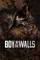 Boy in the Walls poster thumbnail