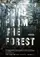 Song from the Forest poster thumbnail