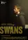 Swans poster thumbnail