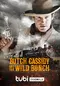 Butch Cassidy and the Wild Bunch poster thumbnail