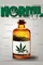 A Norml Life poster thumbnail