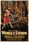 Wings of the Storm poster thumbnail