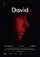 David poster thumbnail