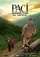 Paçi: Av sanati poster thumbnail