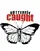 Butterfly Caught  poster thumbnail