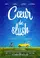 Coeur de slush poster thumbnail