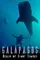 Galapagos: Realm of Giant Sharks poster thumbnail