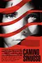 Camino Sinuoso poster thumbnail