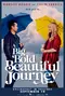 A Big Bold Beautiful Journey poster thumbnail