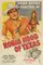 Robin Hood of Texas poster thumbnail