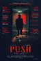 Push poster thumbnail