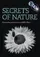 Secrets of Nature poster thumbnail