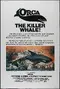 Orca poster thumbnail