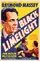 Black Limelight  poster thumbnail