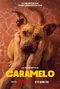 Caramelo poster thumbnail