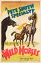 Wild Horses poster thumbnail