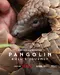 Pangolin: Kulu's Journey poster thumbnail