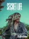 Secret Life of the Dean's Wife poster thumbnail