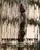 Fragmented Truth  poster thumbnail