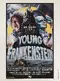 Young Frankenstein poster thumbnail