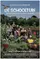 De Schooltuin (The Schoolgarden) poster thumbnail