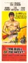 The Bull of the West poster thumbnail