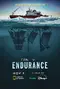 Endurance poster thumbnail