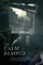 The Calm Beyond poster thumbnail
